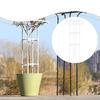 Support for Climbing Plants, , Vertical Cage, Structure Tomatoes, Practical Accessory