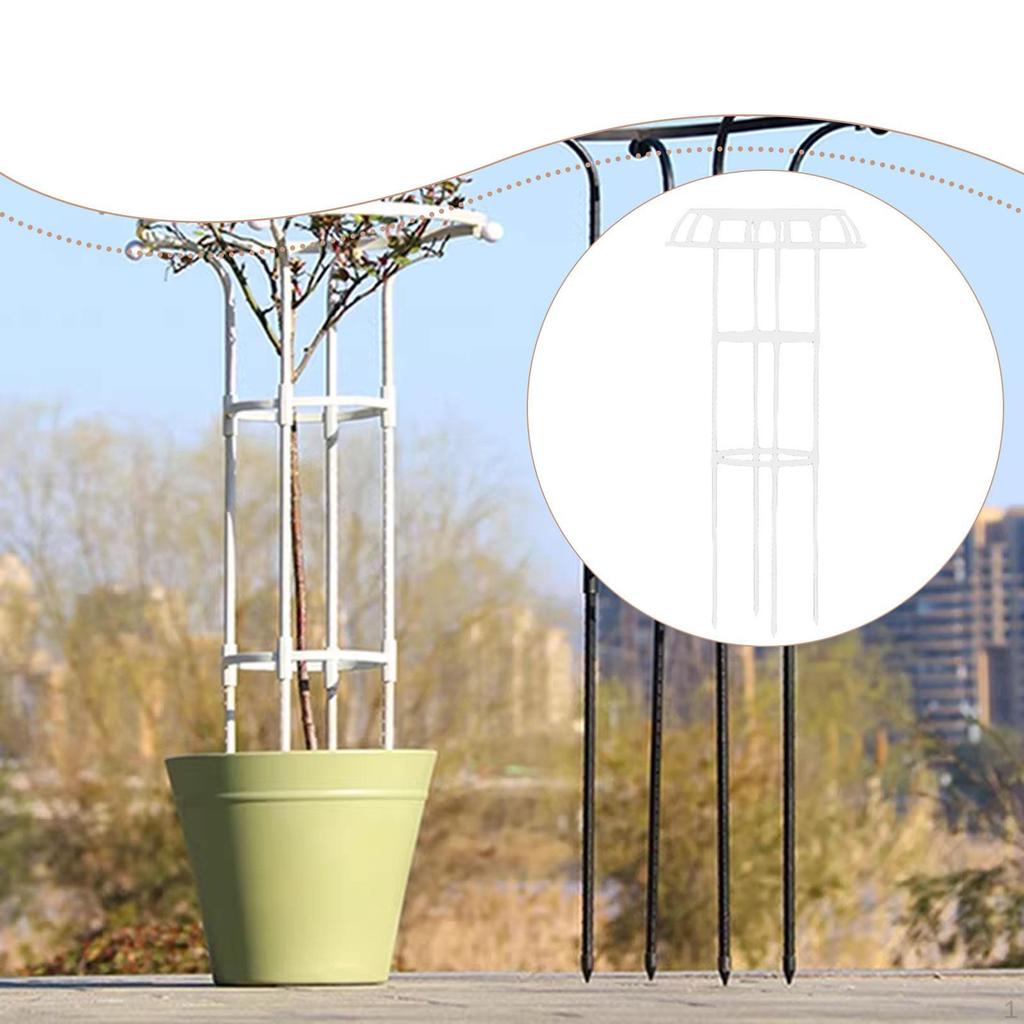 Support for Climbing Plants, , Vertical Cage, Structure Tomatoes, Practical Accessory