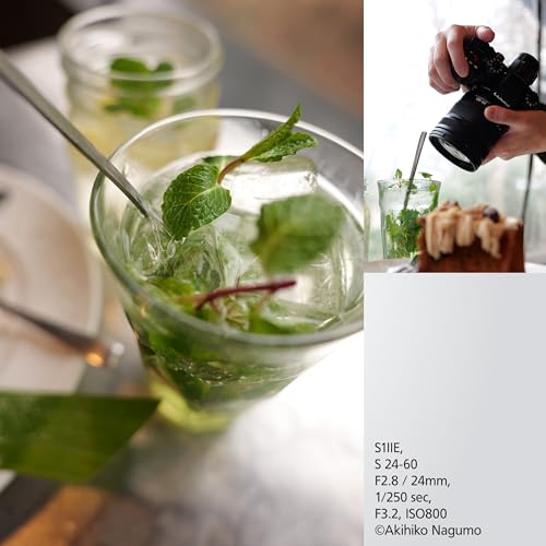 Panasonic LUMIX S PRO 24-60mm F2.8 Lens Full-Frame Mirrorless L-Mount Black S-E2460