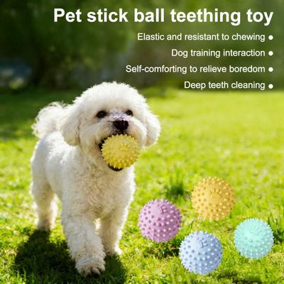 Spiky Ball Dog Toy Squeaky Dog Chew Toy Interactive Puppy Teething Toy Teeth Cleaning Toy for Training Fetch Anxiety Relief