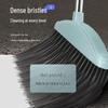 Household Foldable Broom and Dustpan Set