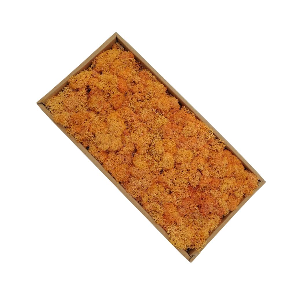 

Preserved Flower Artificial Moss Portable Synthetic Decorative Replacement Home Garden Patio Lichen Photography Prop Ornament