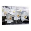 Glass Hob Protector 2x40x52 Orchid