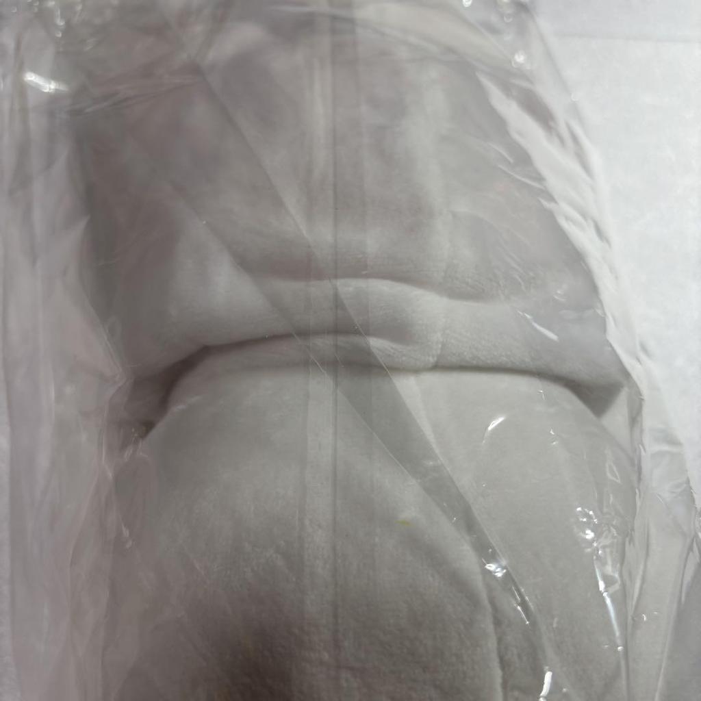 [USED] Stray Kids PuppyM Seungmin Plush Toy