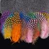 50pcs Small Size Natural Feathers Spotted Pattern Real Plumes Spotted Feathers Multicolo Natural Color Fake Eyelashes DIY