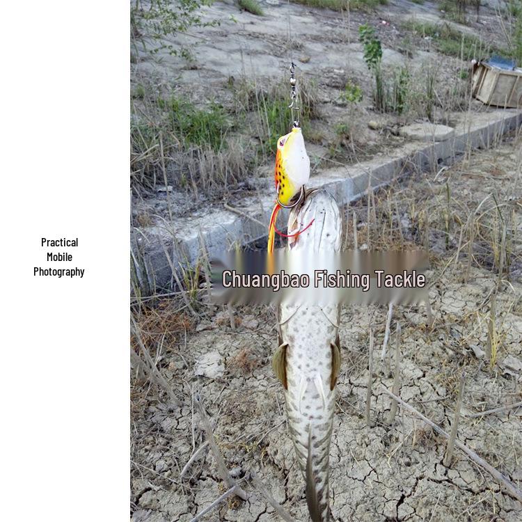 Thunder Frog Soft Bait - Black, 5g/8g/13g Bionic Simulation Lure