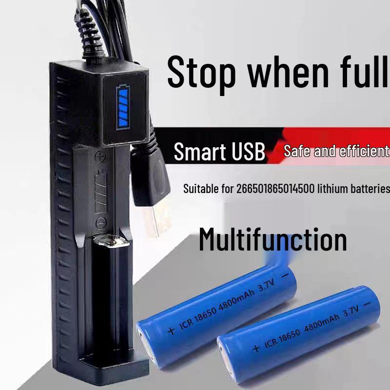 Caricabatterie USB Universale per Batterie al Litio 18650, 26650, 14500 - Caricabatterie da Tavolo 4.2V