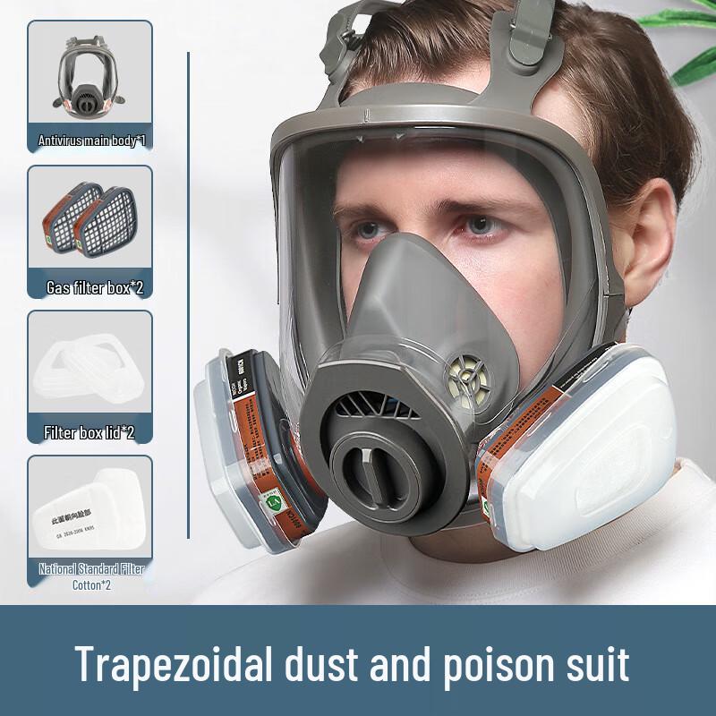 Silicone Full Face Respirator Mask Kit