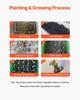 Hydroponic Growing System with Grow Light, 30 Pods Vertical 6 Tiers Hydroponic Tower, Home Hydronic Garden with Water Pump, Plants Germination Kit for