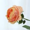 Feel moisturizing artificial flower, long branch Austin rose bouquet, home interior decoration artificial flower