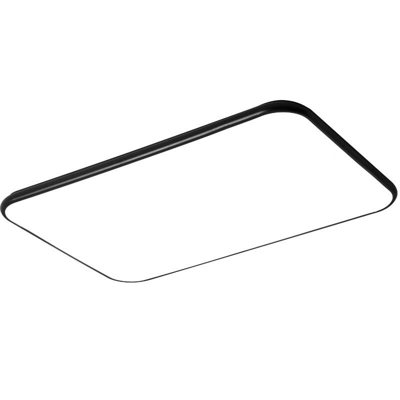 Liangtu Modern LED Living Room Ceiling Light