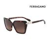 Sunglasses SF1106S 242 Square Horn-rimmed UV Protection Women's