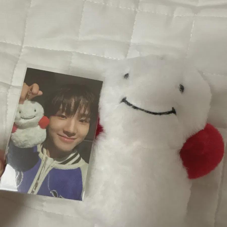 

Boynextdoor Продажа машины для доставки