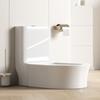 Easi Squat-Sit Dual-Use Ceramic Toilet
