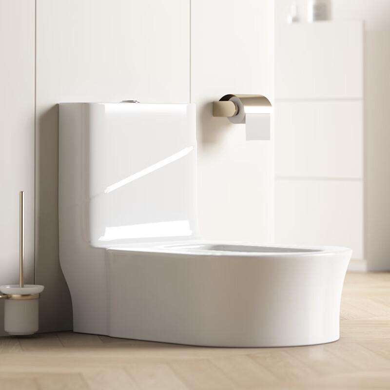 Easi Squat-Sit Dual-Use Ceramic Toilet