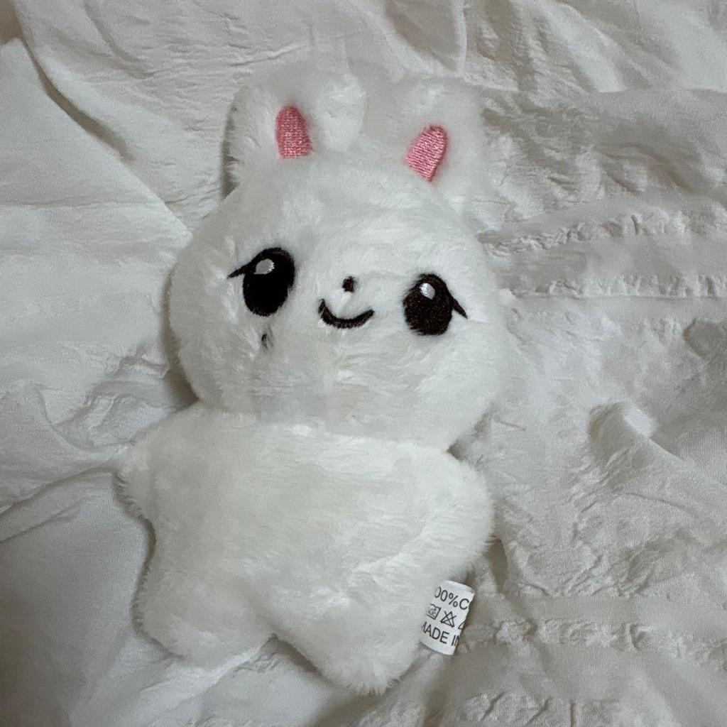 Used seventeen jeonghan mascot plush master