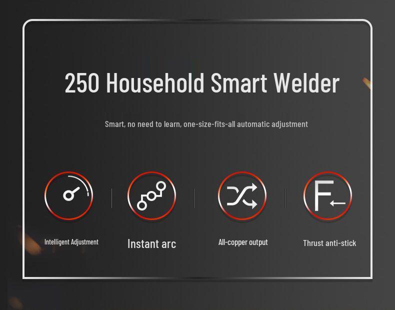 Delixi 250 Mini Electric Welder, 220V Handheld for Home Use