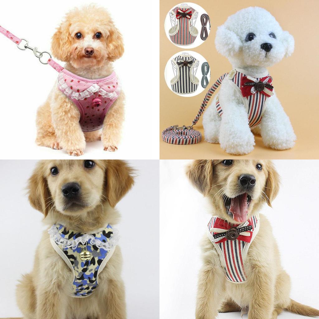 Soft Padded Dog Harness With Easy Hook And Loop Closure For Small And Medium Dogs