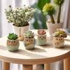 Creative Cartoon Kiln Transformation 6pcs Set Owl Ceramic Succulent Plant Pots with Drainage Holes, Adorable Small Planters with Plant Stands