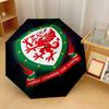 Wales Rugby Print Auto 8?Ribs Folding Umbrella Wind Resistant Lightweight Automatic Umbrella For Daily Travel