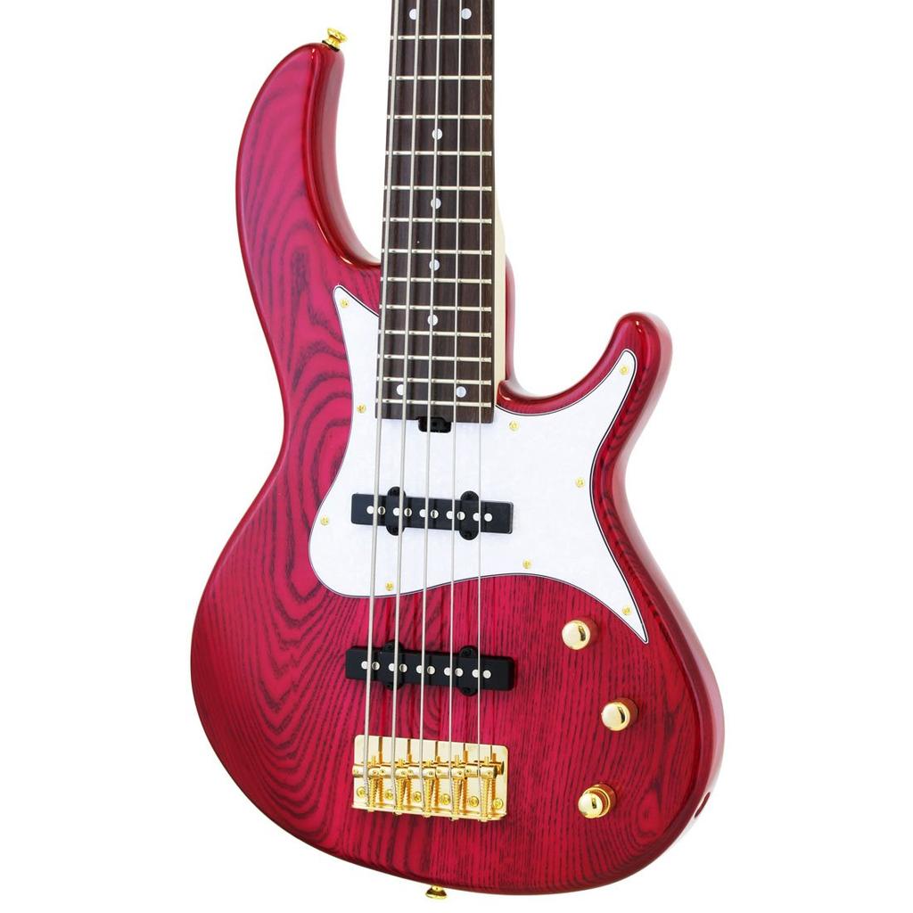 ARIA ProII RSB Bass SPK 5-string RSB-42AR/5