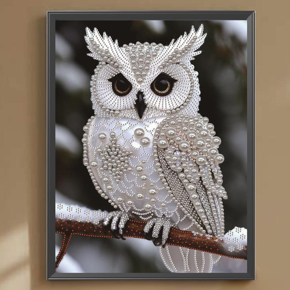 Sieraden Dier Speciaal Vormgegeven 5D DIY Gedeeltelijke Boor Diamant Schilderen Kits voor Volwassenen Huisdecoratie Diamant Kunst Kit 11.81x15.75inch