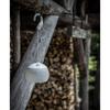 Snow Peak Hoozuki Mori ES-070GR Green Portable Lantern 300 Lumens Lightweight Camping Light