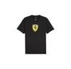 Puma T-shirt 623805