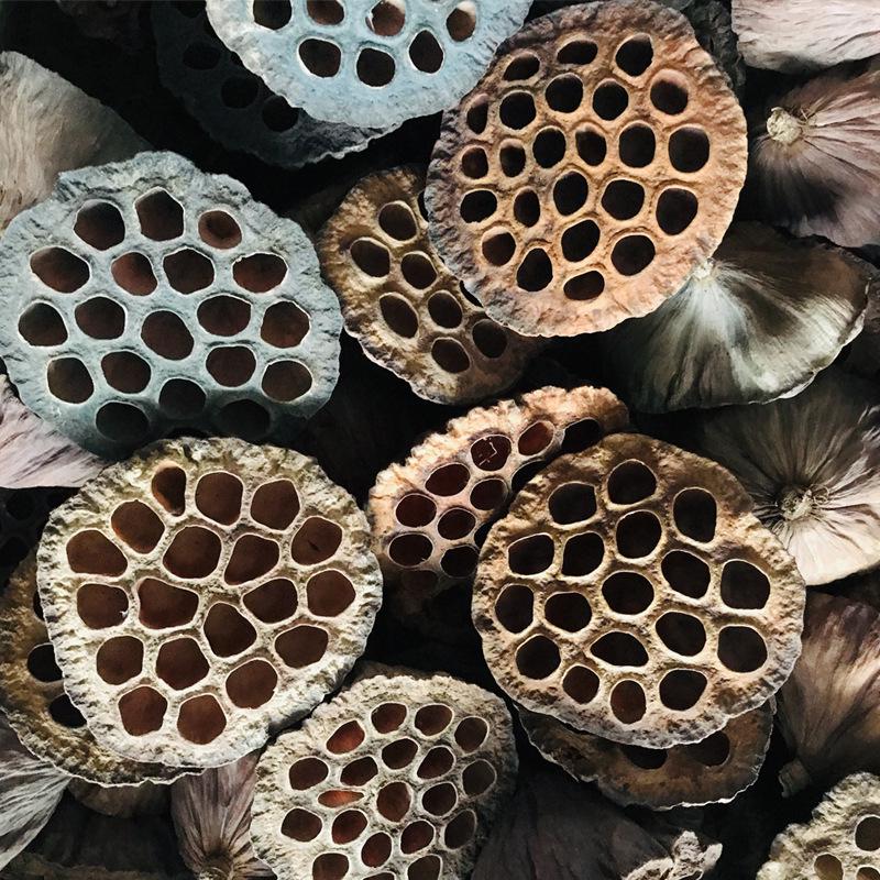 Natural Zen Style Large Lotus Head with Seeds, Dried Fruit, and Mini Lotus for Christmas Home Decoration.