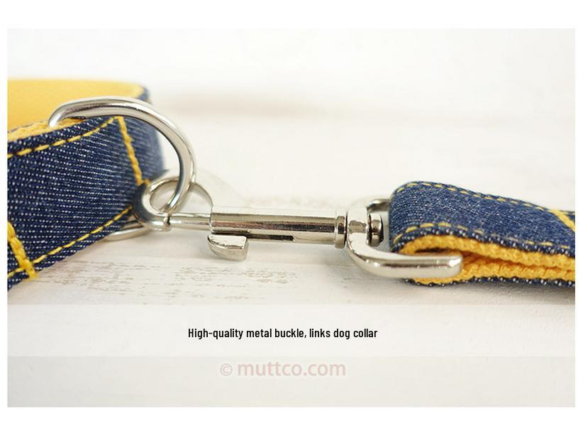 Personalizované DIY vodítko pro mazlíčka a ručně vyrobený obojek pro psa na procházky