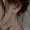Korean Micro-inlaid Zircon Ins Small Fresh Ear Hook Fashion Temperament Earrings Versatile Simple Daily Small Earrings Women