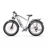 Electric Bicycle DUOTTS F26 Lite 750W Motor Electric Bike Adult Top Speed 50Km/h 48V 18AH Max Range 90Km Load 150KG 2 Color