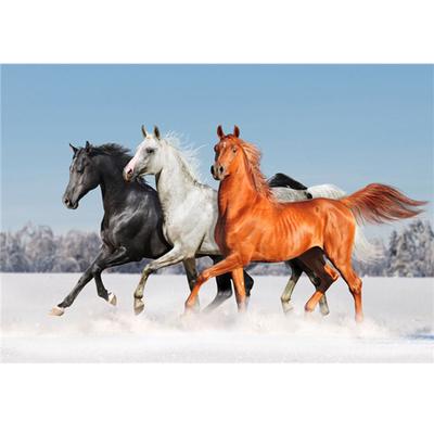 5D Doe-het-zelf Diamantschilderij Kits Diamant Strass Steken Diamant Geborduurd Dier Paard Rennen Sneeuw Handwerk