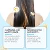 Rosemary Hair Care  Nourishing Serum Roll-on Ball Anti Frizz Long Lasting Scalp Strengthener for Daily Use