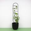 Black Metal Support for Climbing Plants Portale 60cm - Modern Ladder for Flowers and Pots, Support Frame for Monstera and Hoje