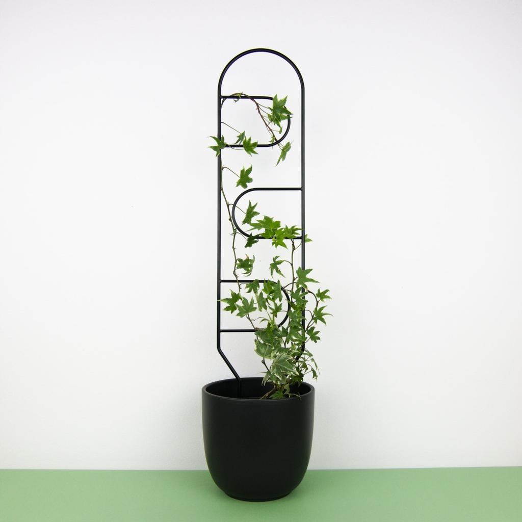 Black Metal Support for Climbing Plants Portale 60cm - Modern Ladder for Flowers and Pots, Support Frame for Monstera and Hoje