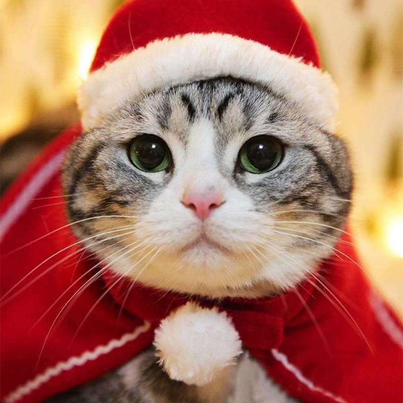 Weihnachten Katze Umhang Schal Hund Haustier Cosplay Kostüm Weihnachten Kätzchen Plüsch Weihnachtsmann Mütze Lustig Geburtstagsparty Umhang Verkleidung Bekleidung