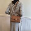 Premium small bag 2025 new women's bag winter popular messenger bag fashion portable small square bag
