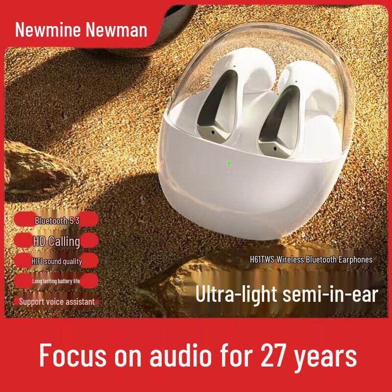 

Newmine H61 TWS Wireless Bluetooth Earbuds