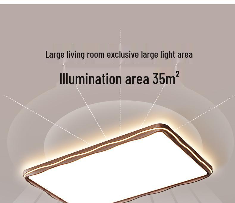 Minimalist Full Spectrum LED Ceiling Light for Living Room, Hall, Bedroom (Zhongshan Lighting)