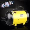 2800W Pet Fur Dryer Grooming Blower Dog Cat Hairdryer Blaster Heater Low Noise New