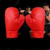 Boks ve dövüş sanatları – Boks ve dövüş sanatları için eldivenler