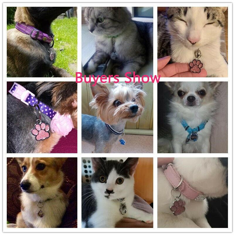 Hundemarke Personalisierte Haustier Katze Welpe ID-Marken Kostenlos Graviert Kundenspezifische Hundehalsband Halskette Verlustsichere Namens-Adressanhänger Knochenanhänger