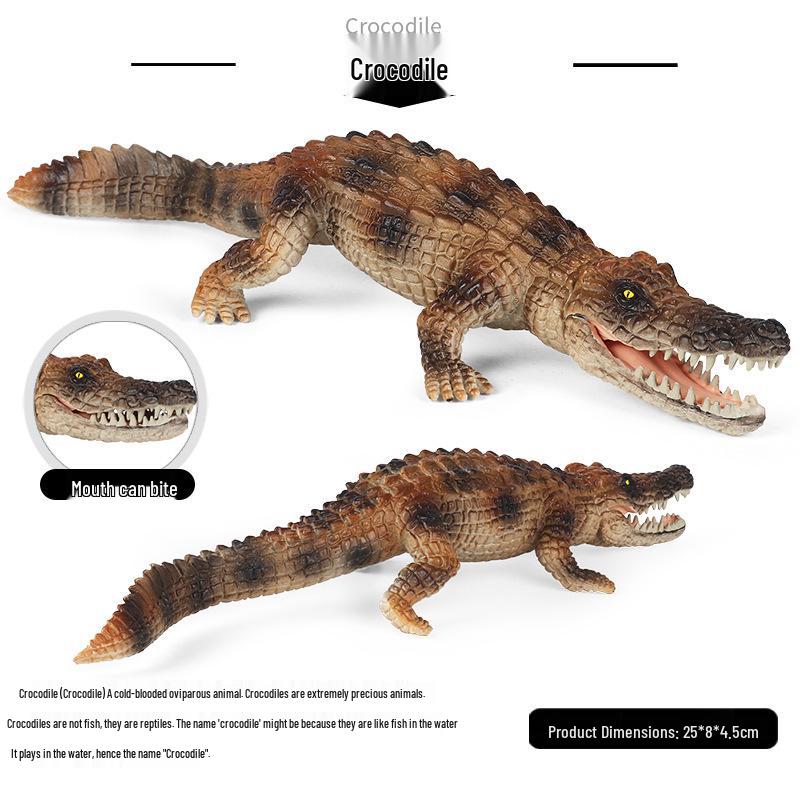 Crocodile & Alligator Educational Toy Model for Kids - Wildlife Science Gift