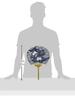 Shikoku Uchiwa Fan, Unisex, Gen'emon Kiln, Rabbit Design, Approx. 28 X 41 Cm