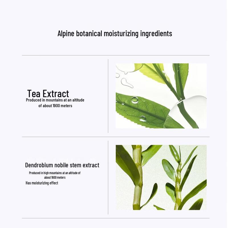 DR PLANT Alpine White Tea Brightening & Luminous Primer 45ml