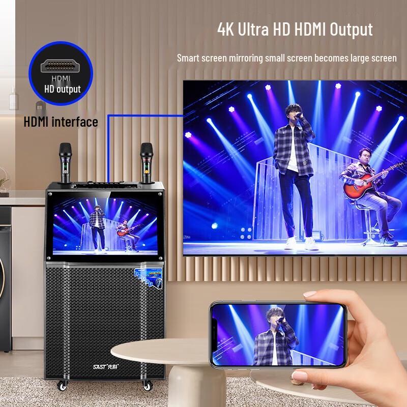 SAST Home KTV Karaoke Machine with 22-inch Display