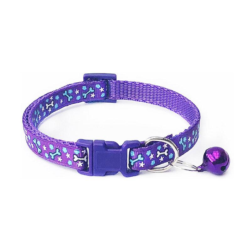 dog collars big w