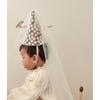 Fashion Party Decoration Birthday Hat Pointy Photography Props Party Hat Little Daisy Hair Accessories Baby's Birthday