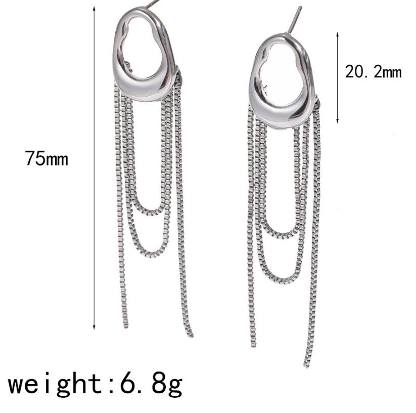 Tassel Chain Stainless Steel Earrings with a Female Niche Design, Earrings and Accessories That Do Not Fade